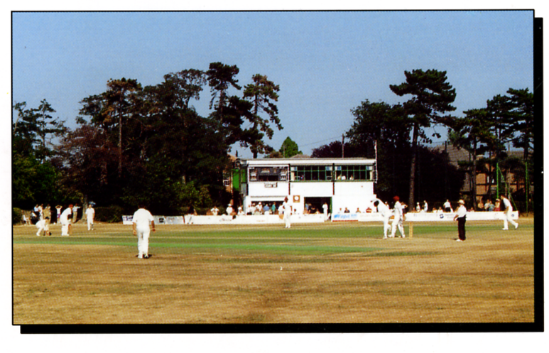 1980 Hadleigh and Thundersley Cricket Club